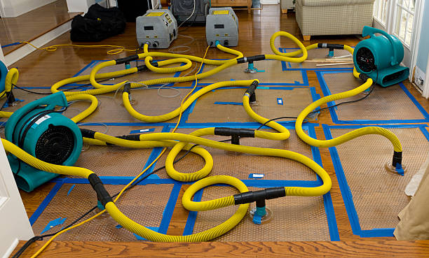 Professional Basement Flood Cleanup technician working in Cleveland, SC